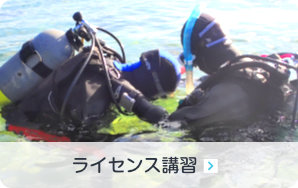 ライセンス講習