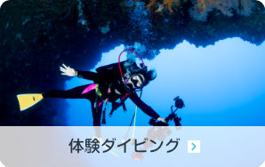 ファンダイビング