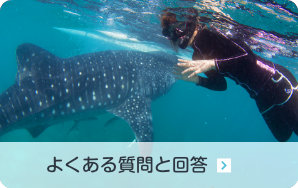 よくある質問と回答