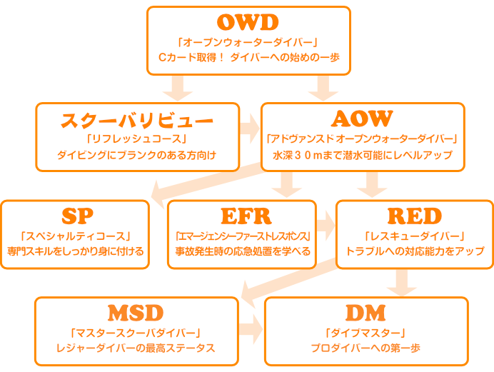 ステップアップチャート